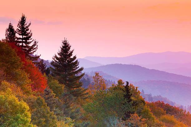 A Charming Cabin, Pool, Firepit, Hot Tub-Jacuzzi Gatlinburg Luaran gambar