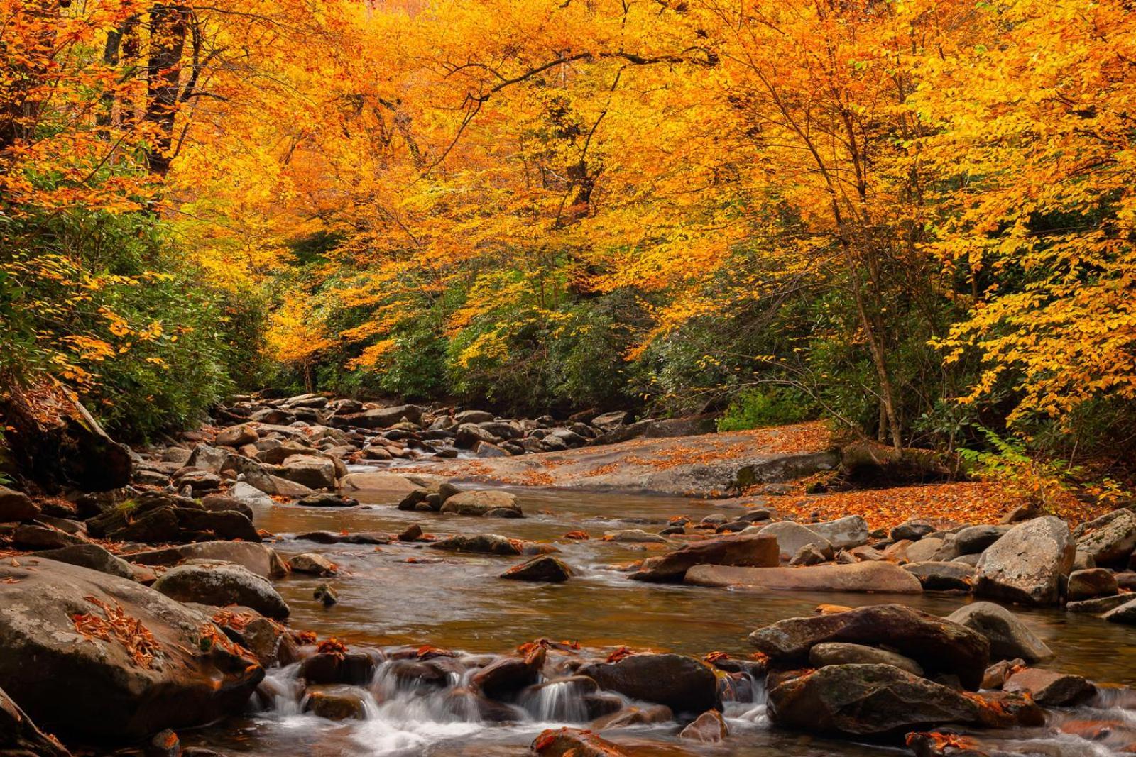 A Charming Cabin, Pool, Firepit, Hot Tub-Jacuzzi Gatlinburg Luaran gambar