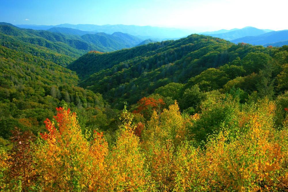 A Charming Cabin, Pool, Firepit, Hot Tub-Jacuzzi Gatlinburg Luaran gambar